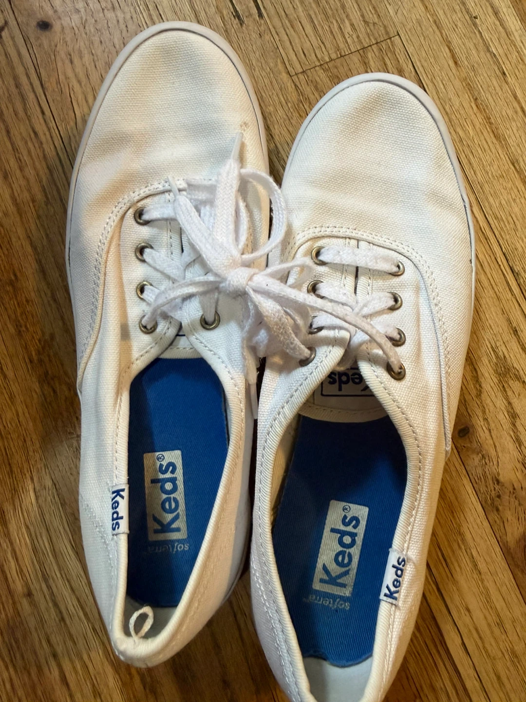 Keds White Canvas Sneakers