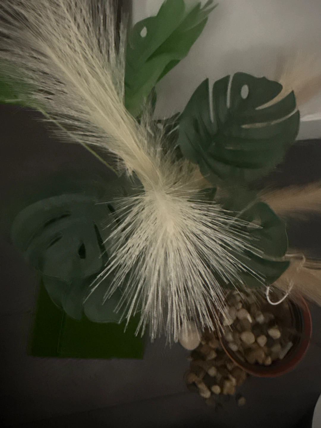 Decorative and gardening items - photo 2