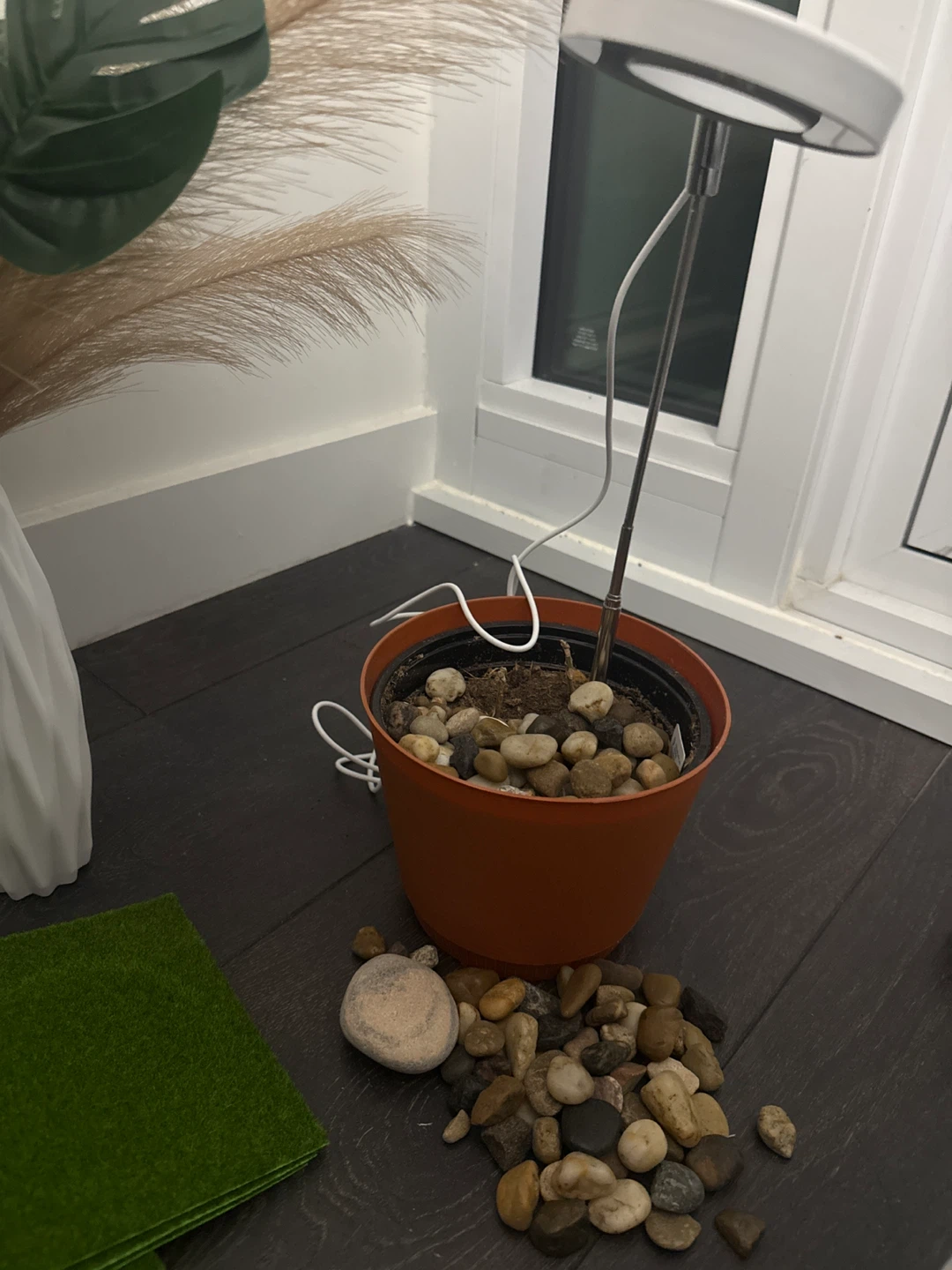 Decorative and gardening items - photo 5