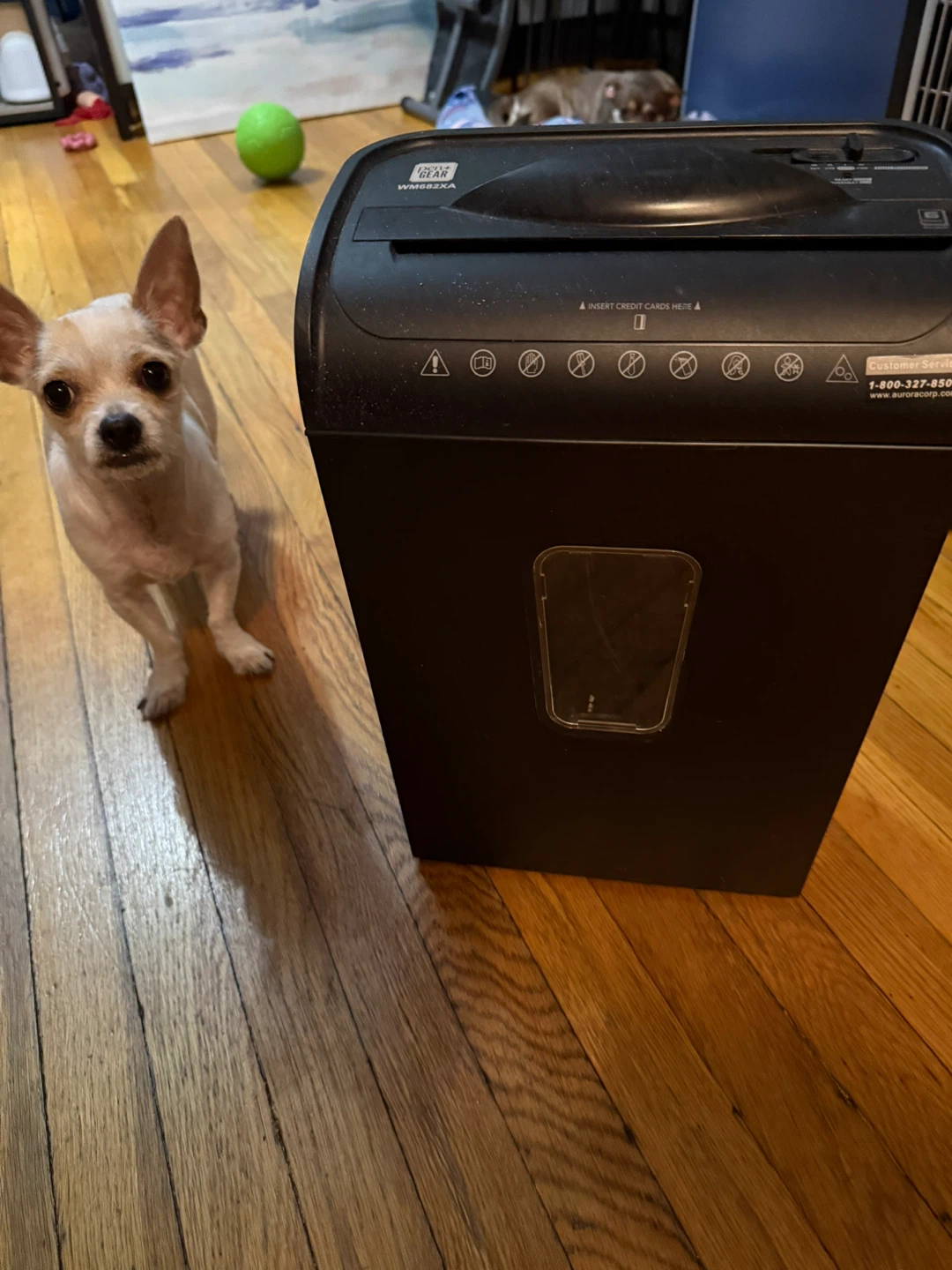 Pen+Gear WM682XA 6-Sheet Cross-Cut Shredder