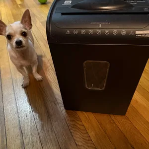 Pen+Gear WM682XA 6-Sheet Cross-Cut Shredder