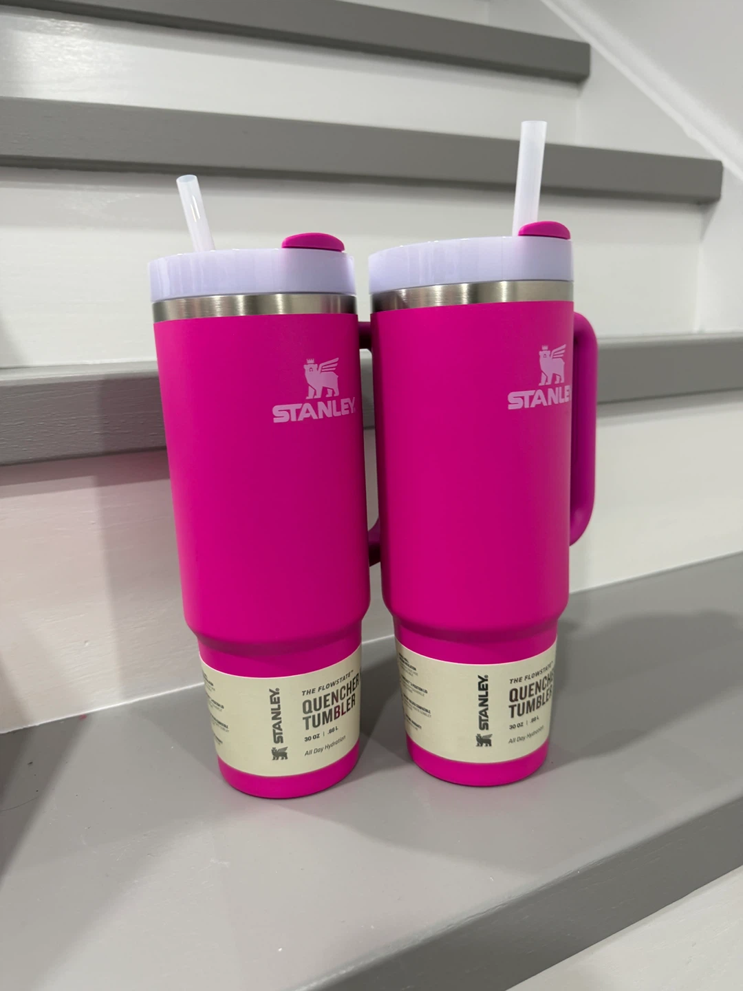 Stanley Quencher Tumblers - 2 Pink 30oz