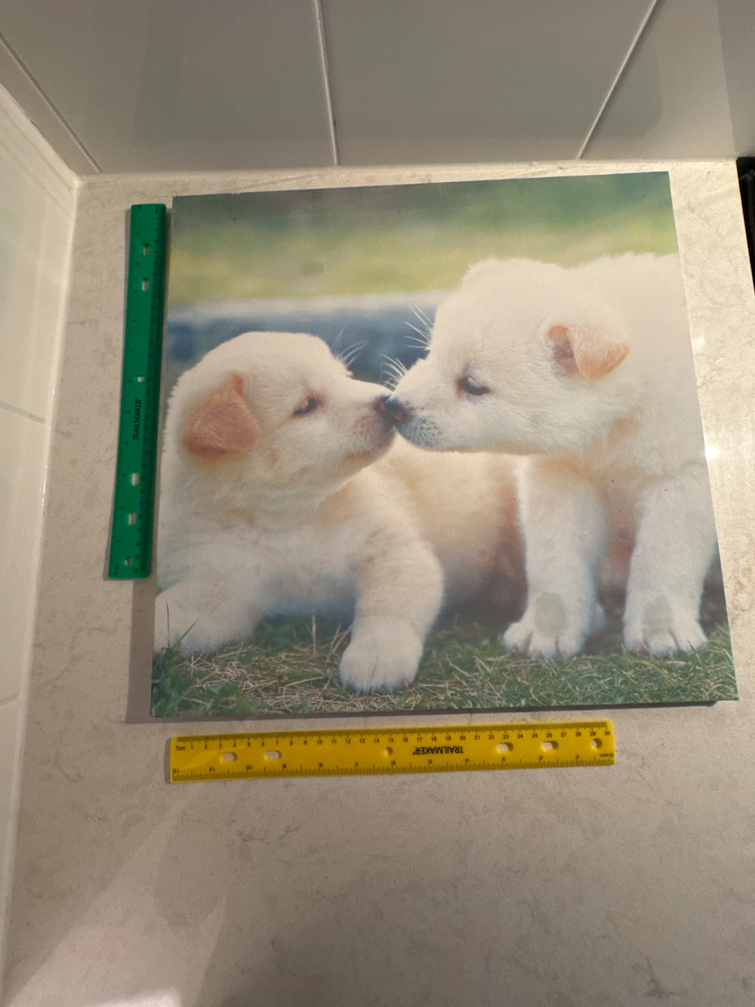 Print of Two Puppies - photo 2