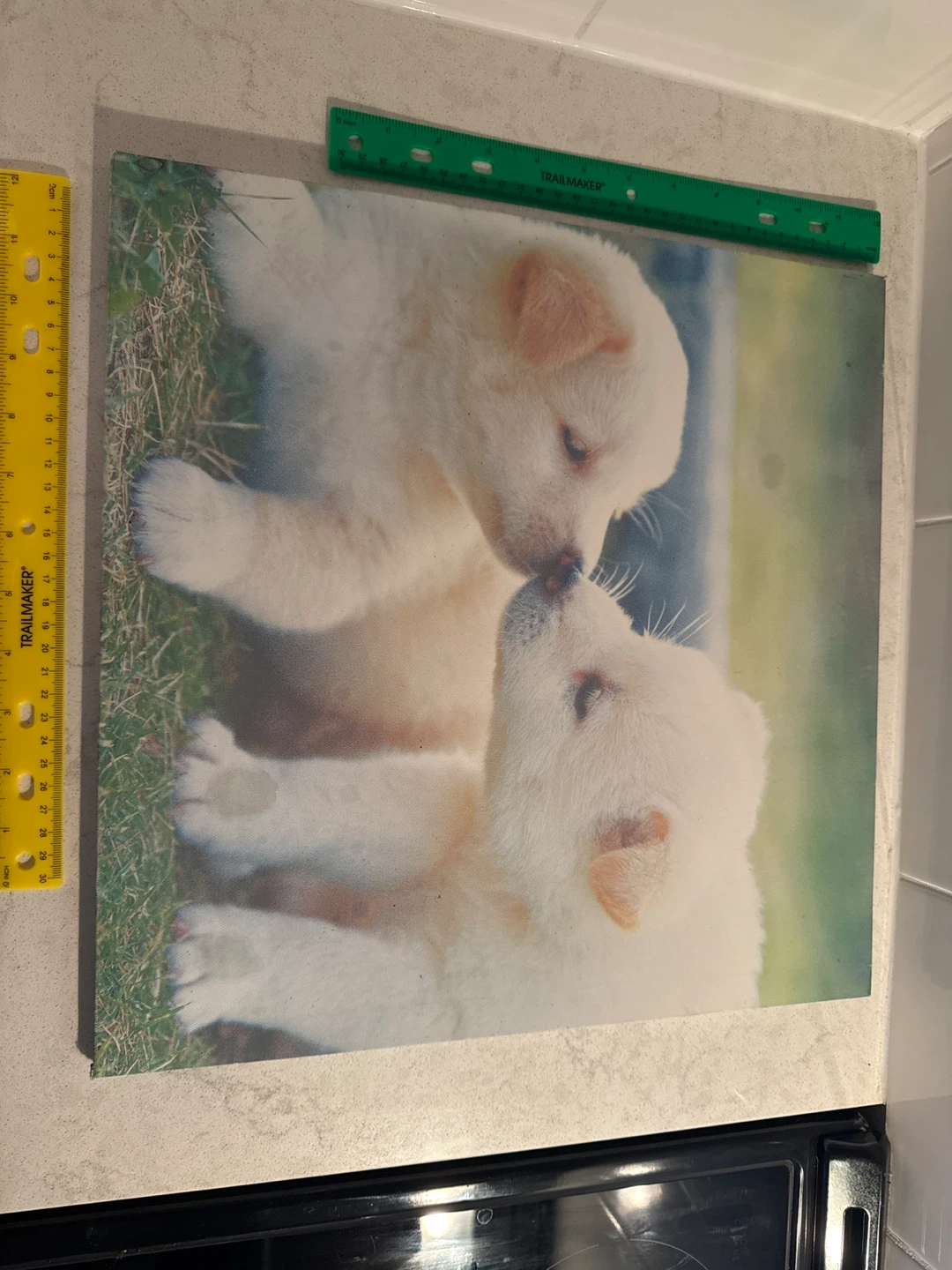 Print of Two Puppies