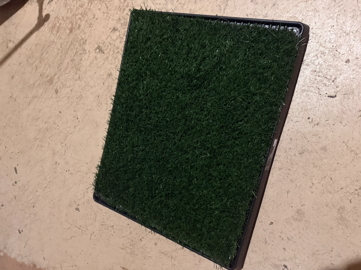 Pet Potty Training Pad - photo 3