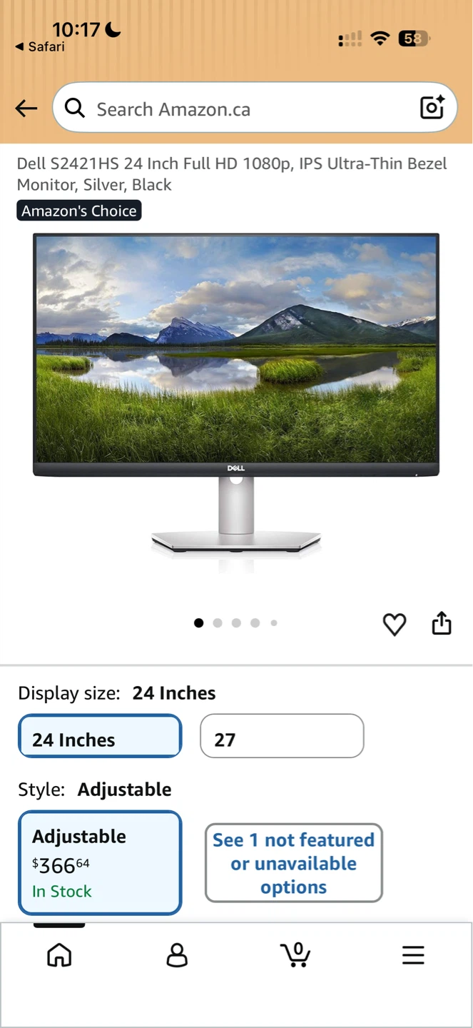 Dell 24 Inch Monitor