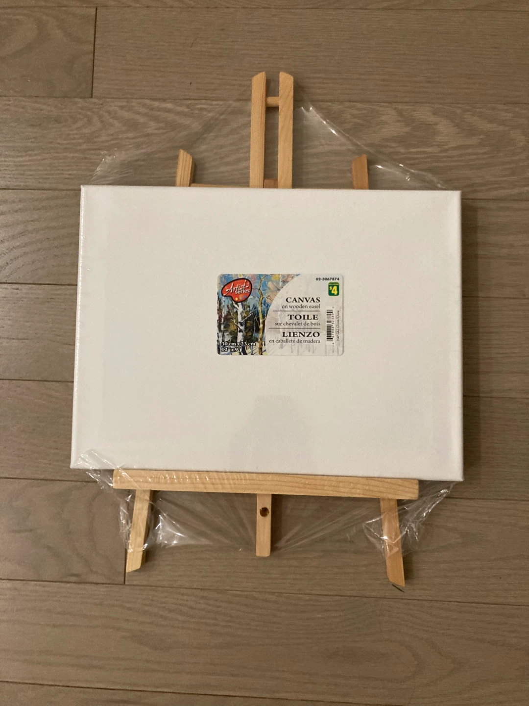 ⚽️Artist's Loft Canvas with Easel