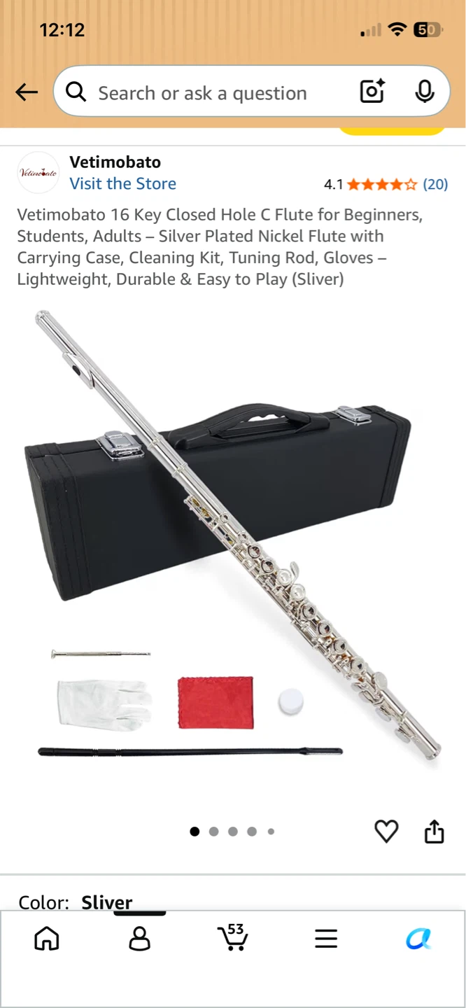 ⚽ Vetimobato 16 Key Closed Hole C Flute - Silver