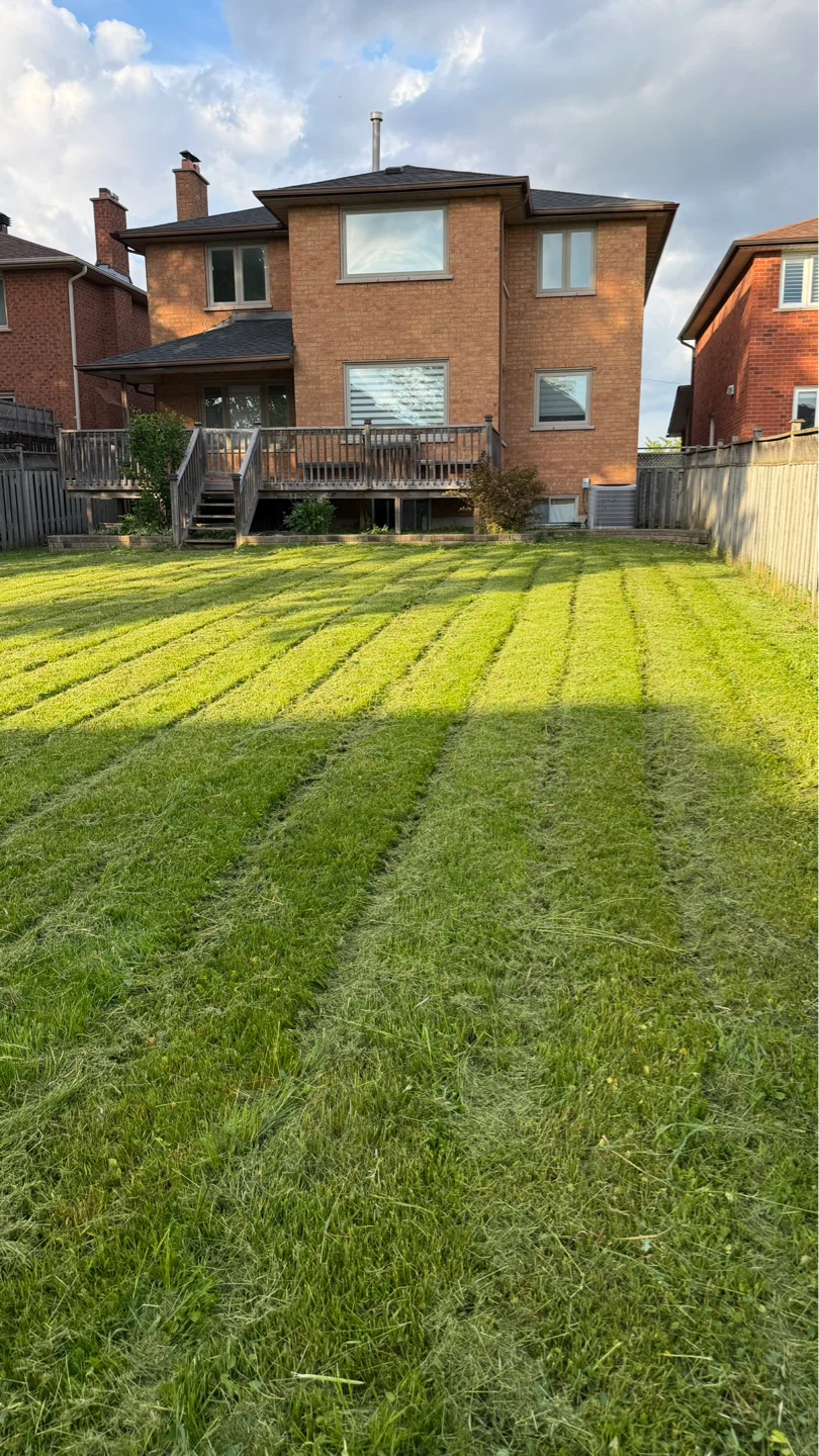 Grass cutting and yard cleanup - photo 3