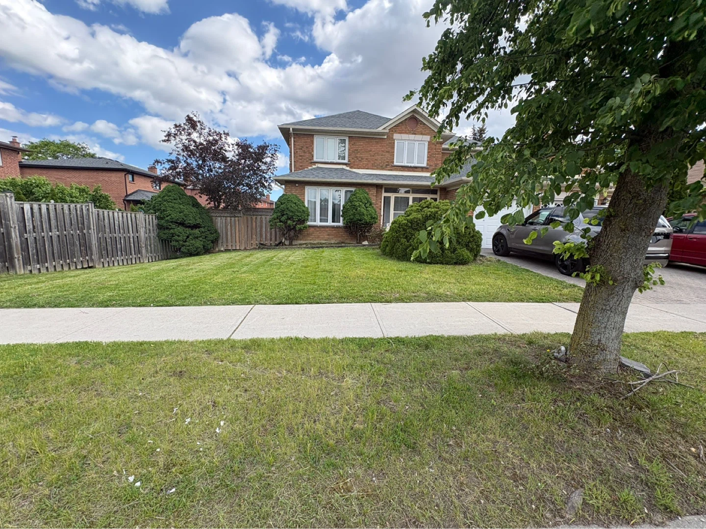 Grass cutting and yard cleanup - photo 2