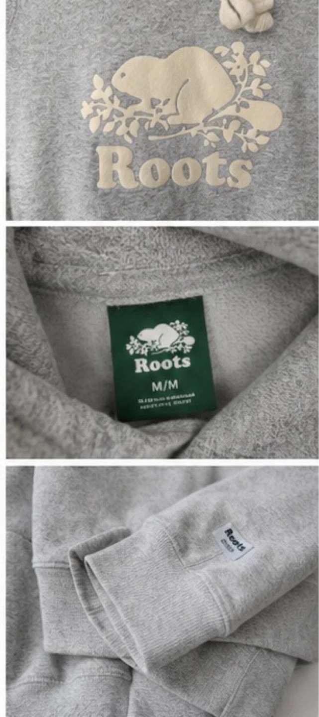 Roots Grey Beaver Logo Hoodie - photo 3