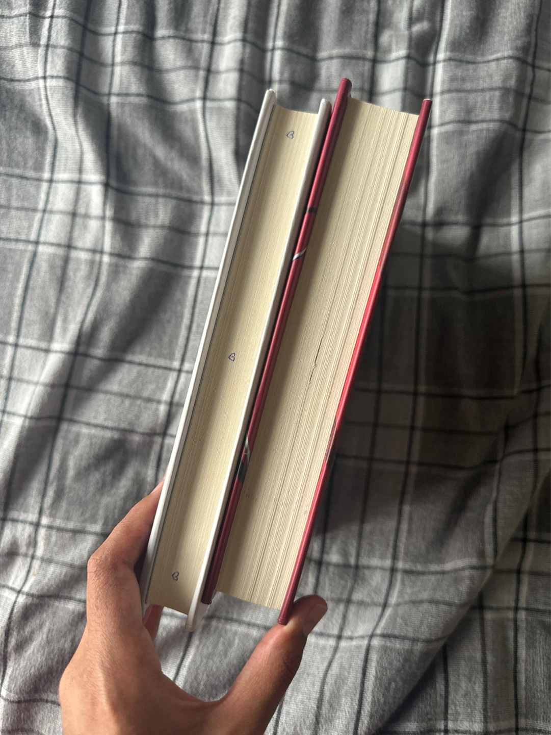 Books - photo 2