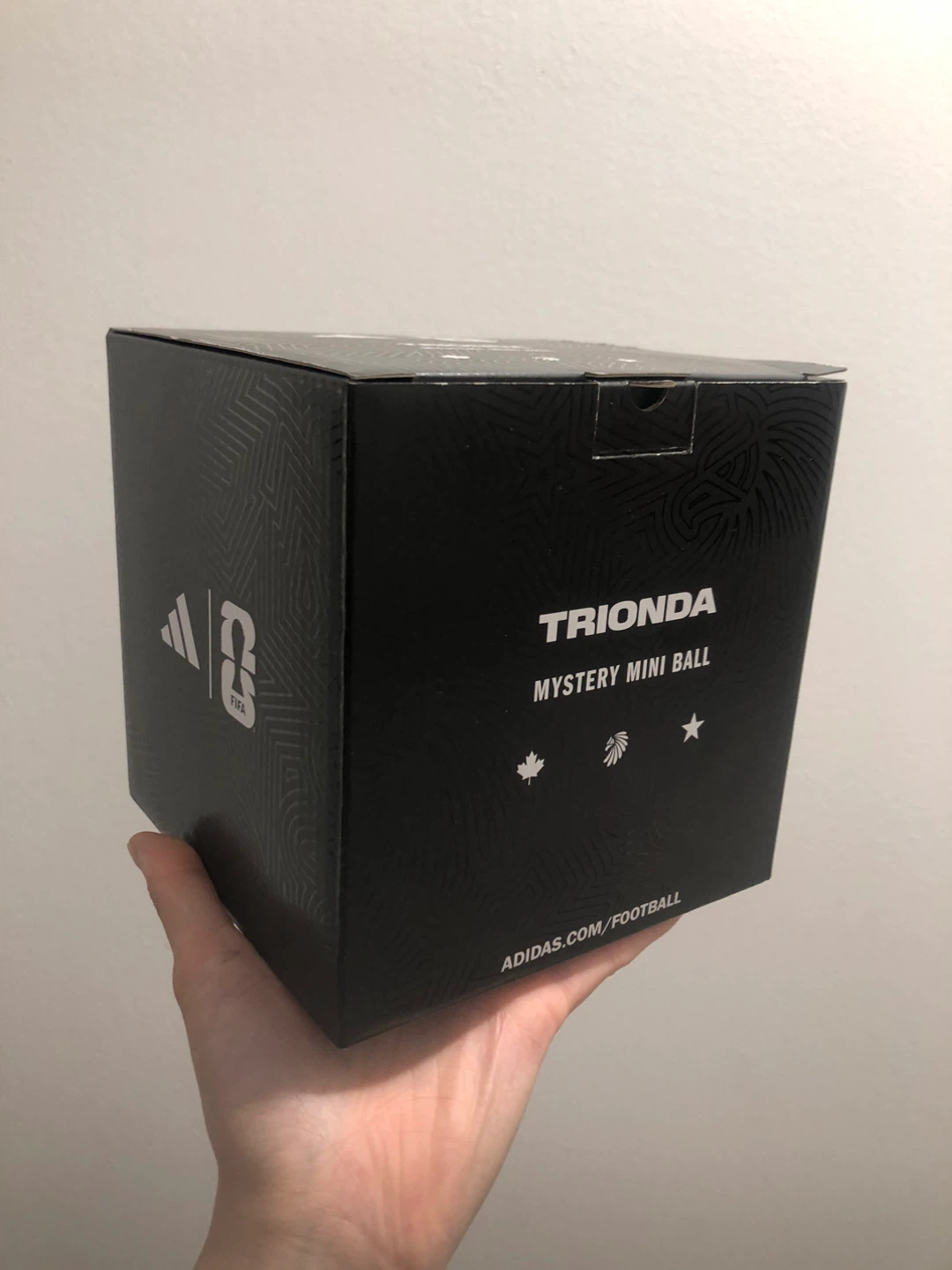 ⚽️Adidas FIFA Trionda Mystery Mini Ball