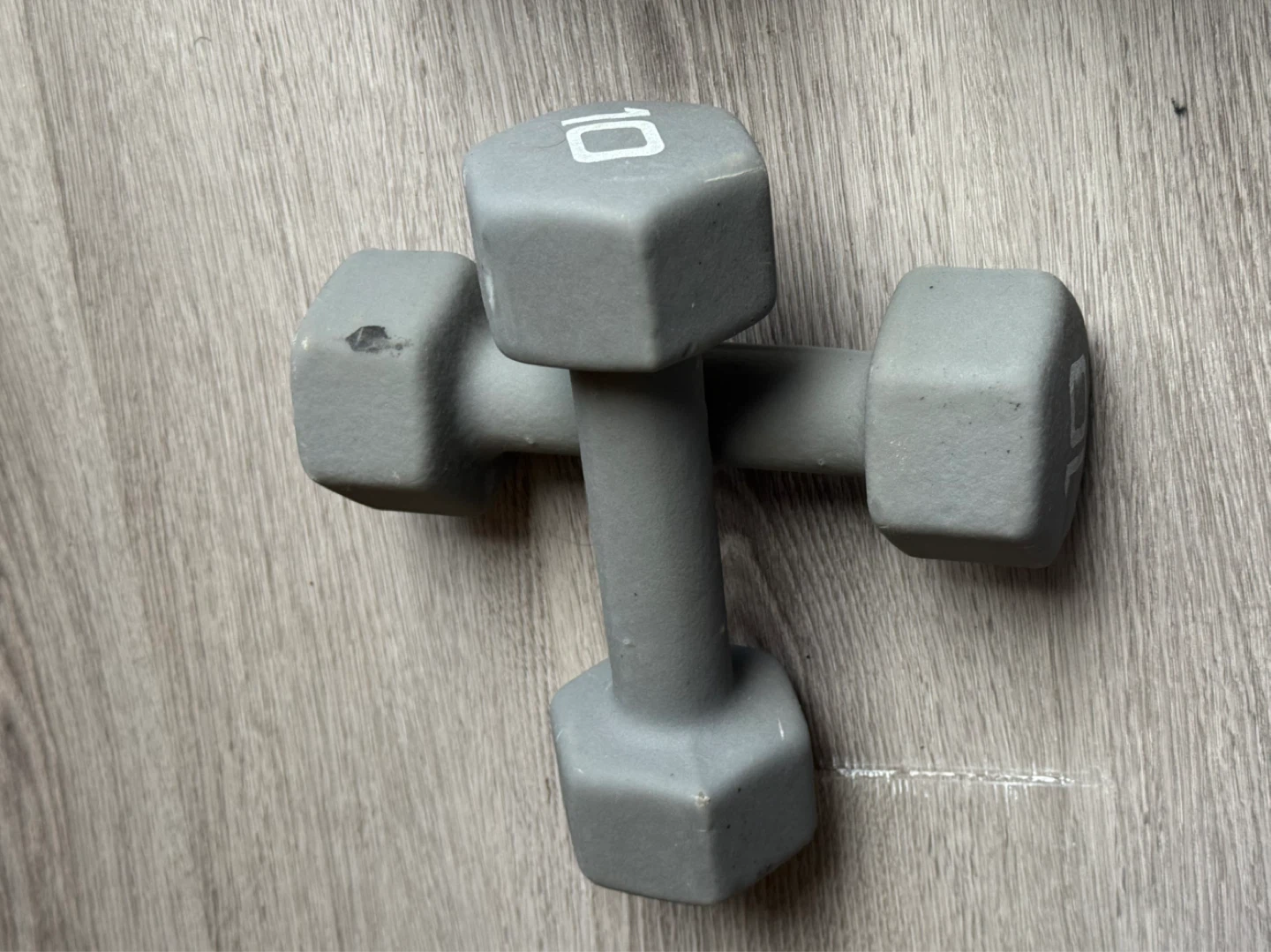 10 lb Dumbbells (Pair)