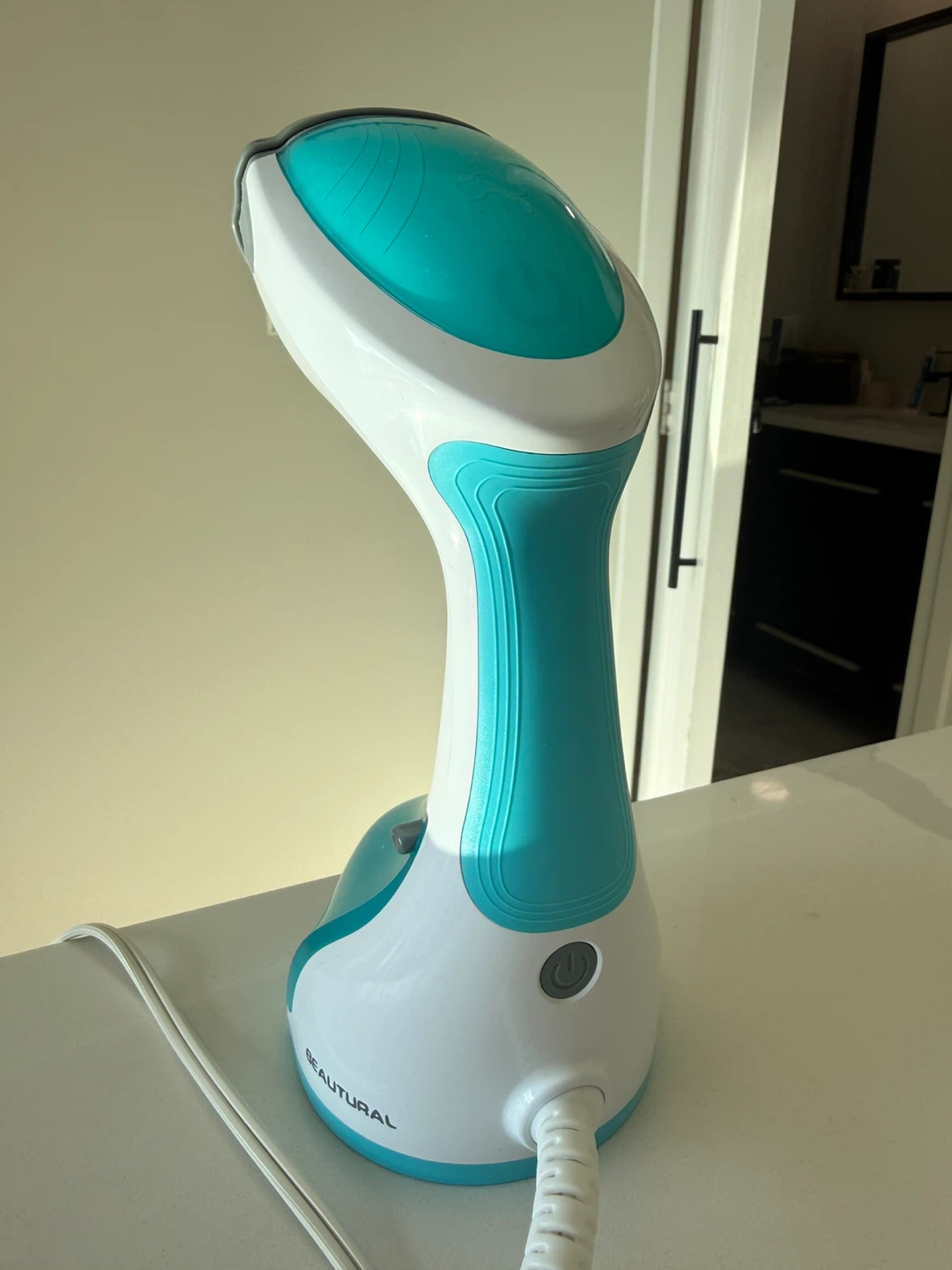 BEAUTURAL Handheld Steamer