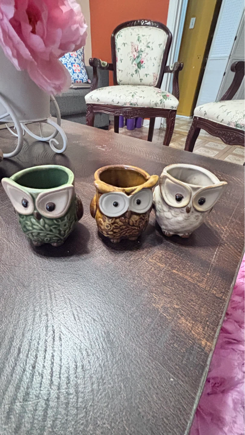 ⚽ Set of 3 Owl Ceramic Planters