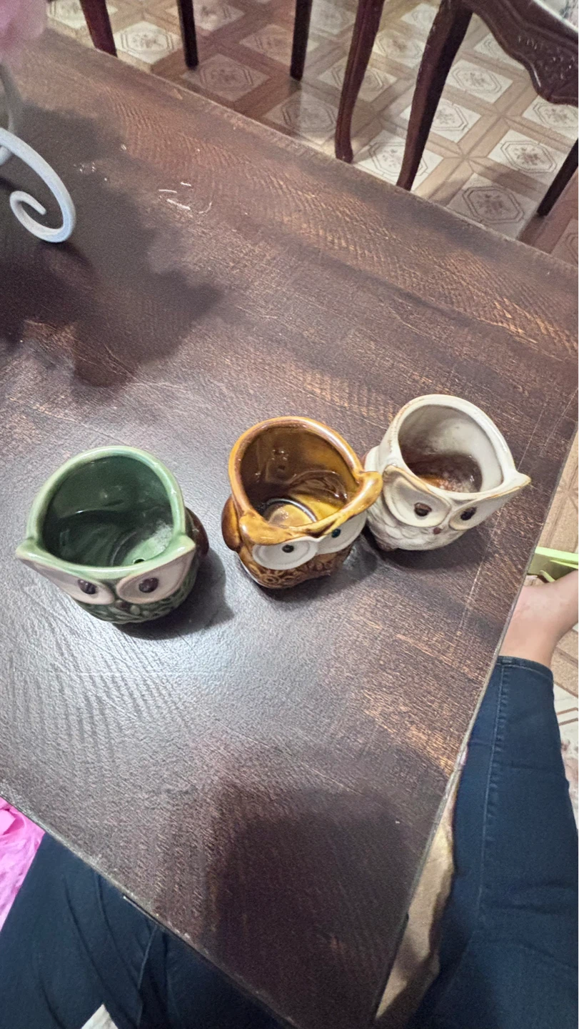 ⚽ Set of 3 Owl Ceramic Planters - photo 2
