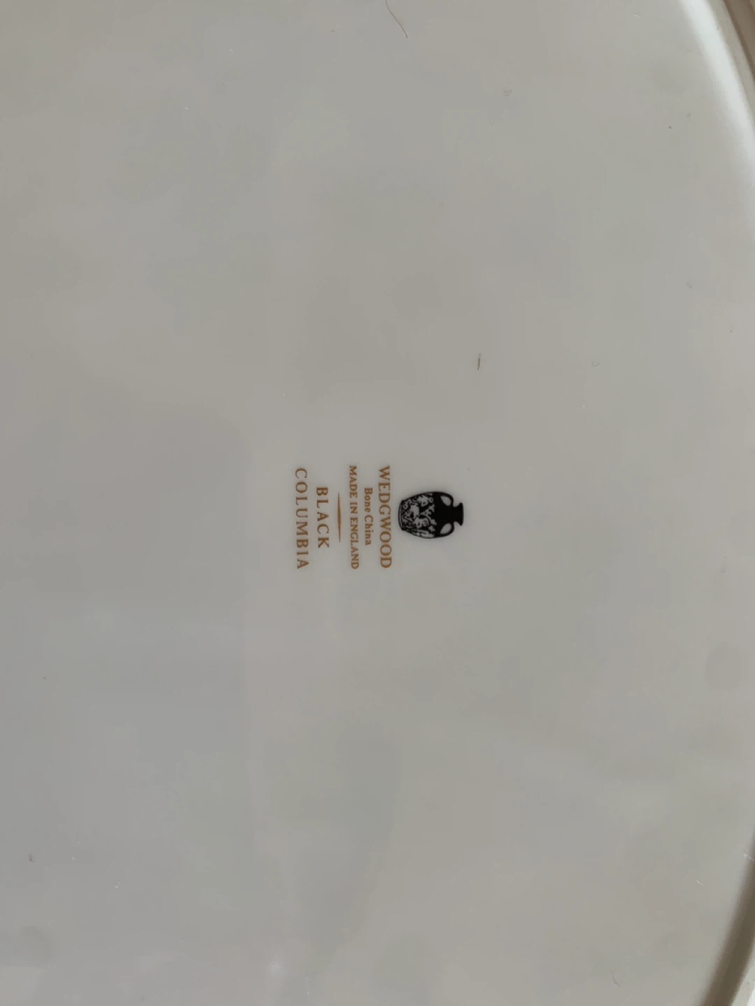 ⚽ Wedgwood Black Columbia Oval Serving Platter - photo 2