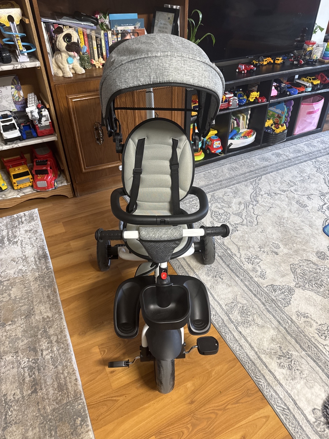 Kids Tricycle with Canopy