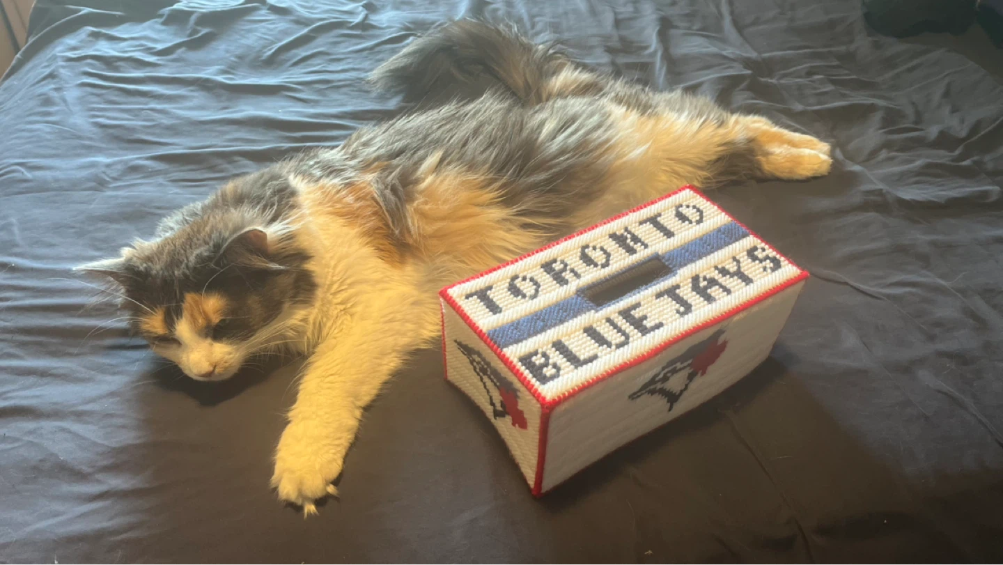⚽ Toronto Blue Jays Tissue Box Cover
