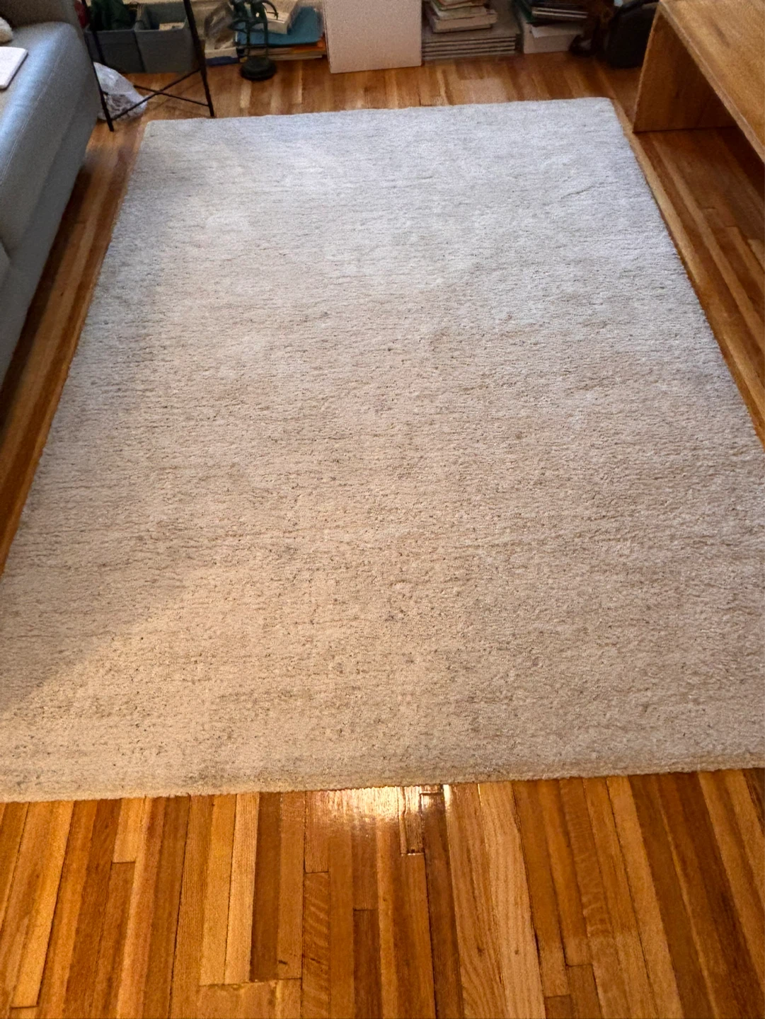 Light Beige Plush Area Rug - photo 2
