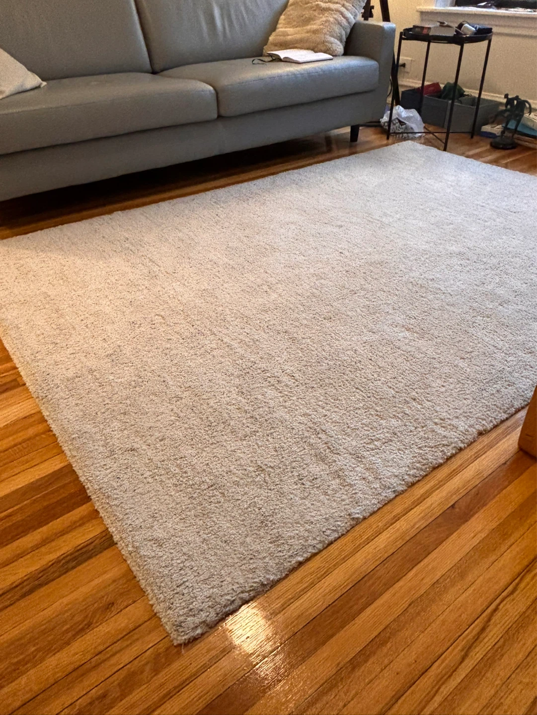 Light Beige Plush Area Rug