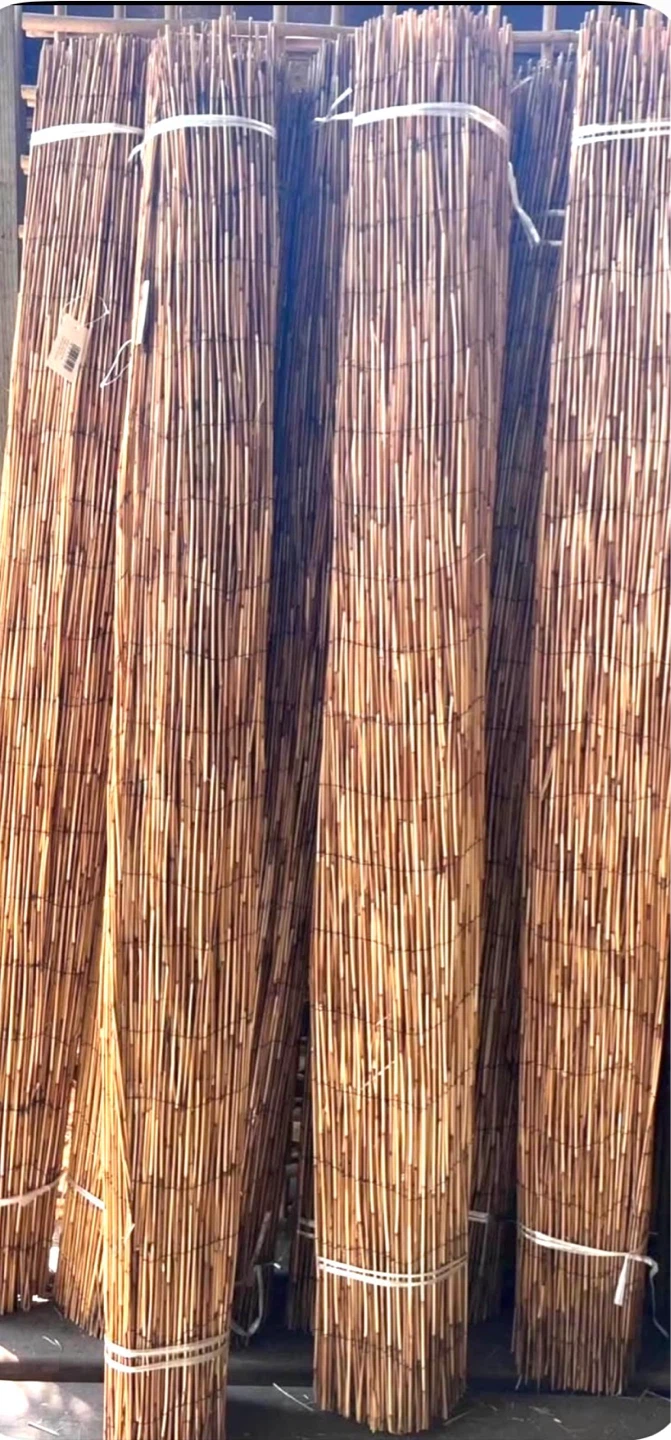Bamboo Reed Rolls