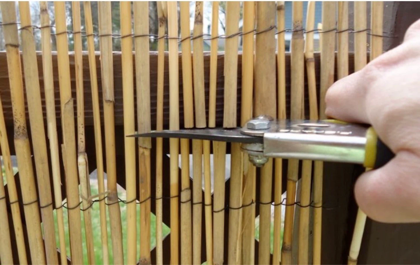 Bamboo Reed Rolls - photo 2