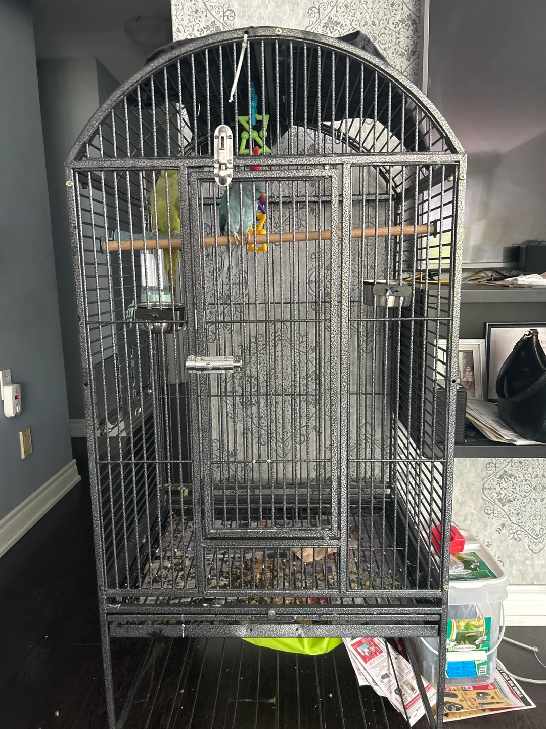 Bird cage