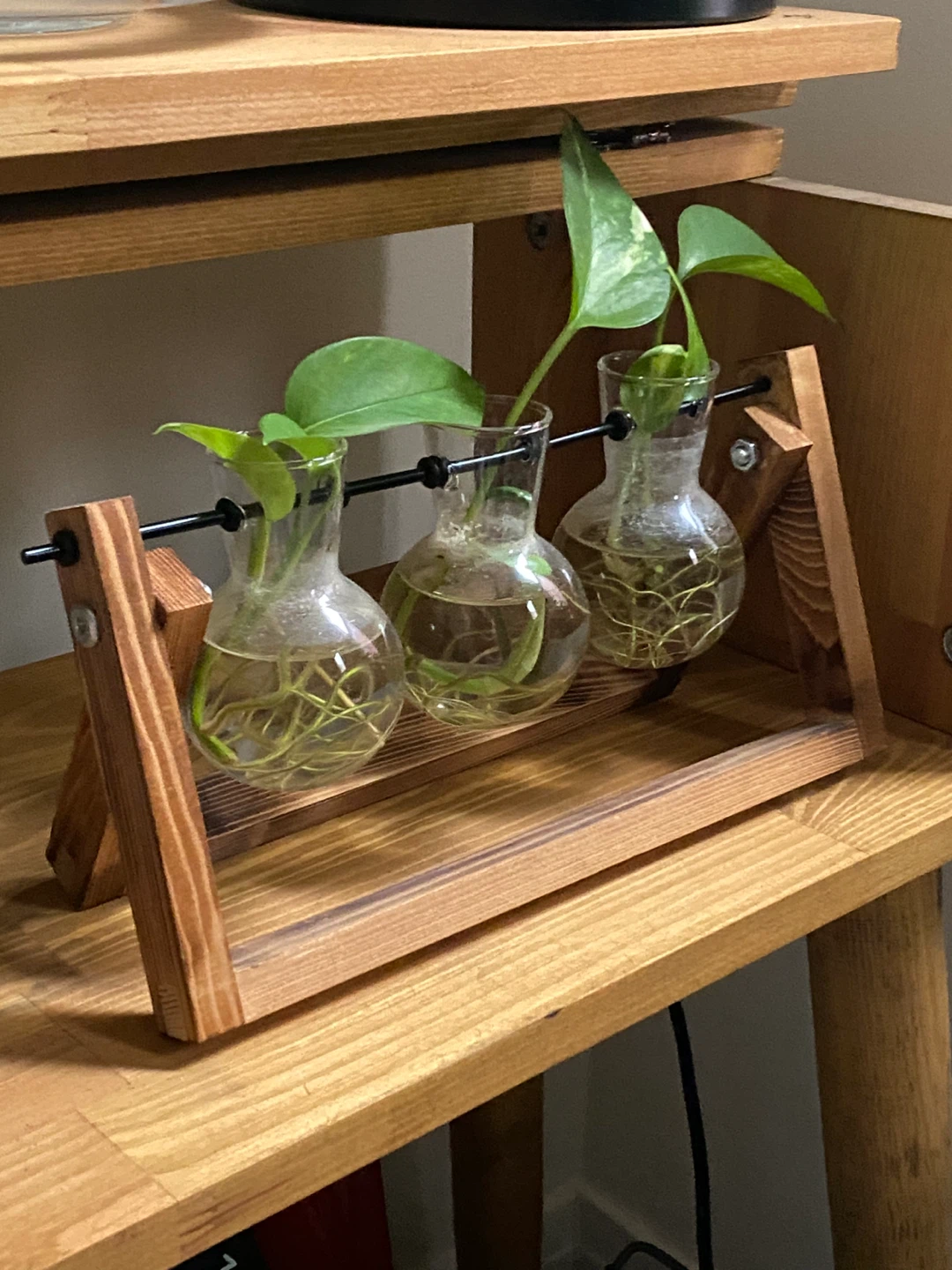 Wooden Hydroponic Plant Stand with 3 Glass Vases