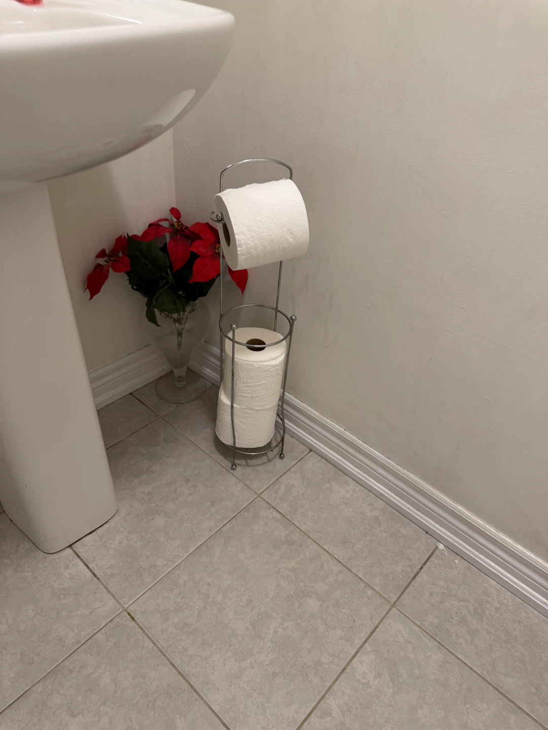 Toilet paper holder with 2 rolls