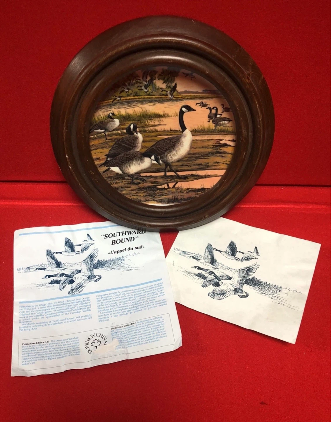⚽️Dominion China "Southward Bound" Collector Plate