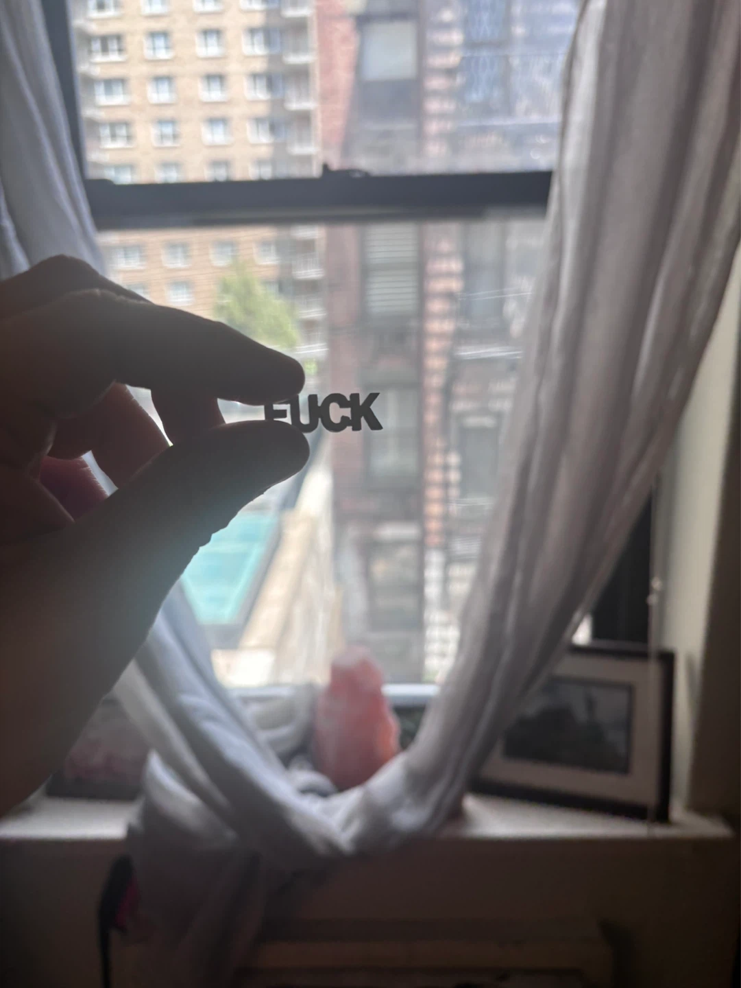 Seriously, My Last Fuck