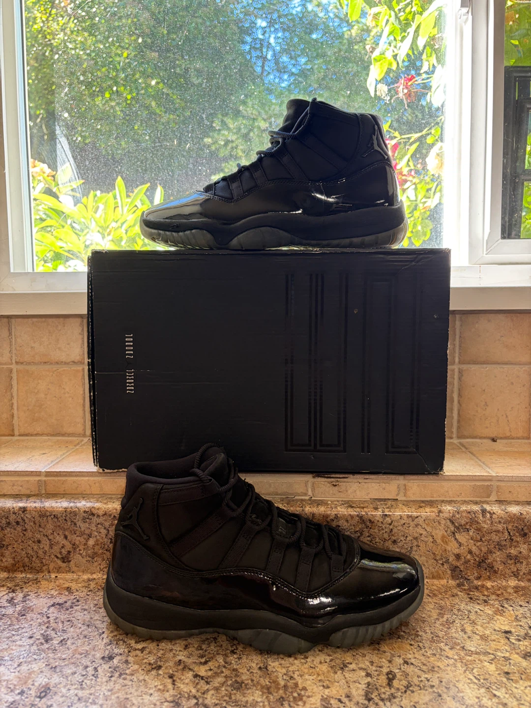 Air Jordan 11 "Blackout" Size 11