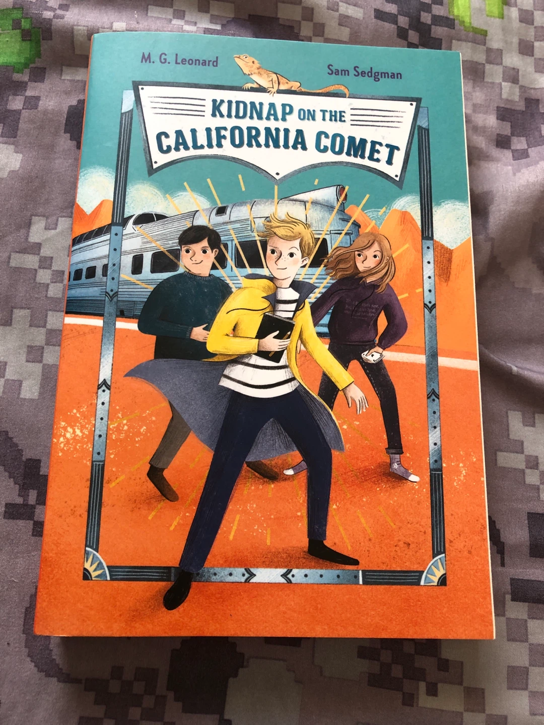 ⚽️ Kidnap on the California Comet Book