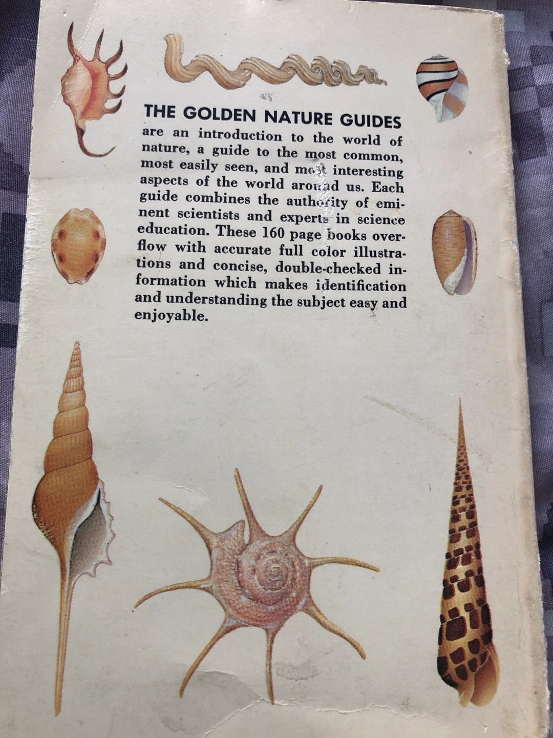 ⚽️ Seashells of the World: A Guide to the Better-Known Species - photo 2