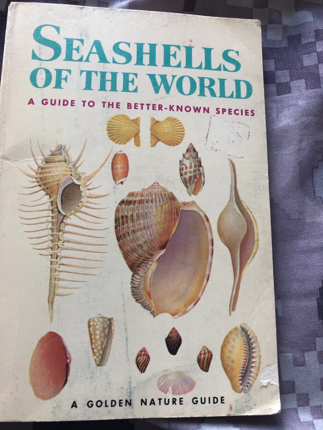 ⚽️ Seashells of the World: A Guide to the Better-Known Species
