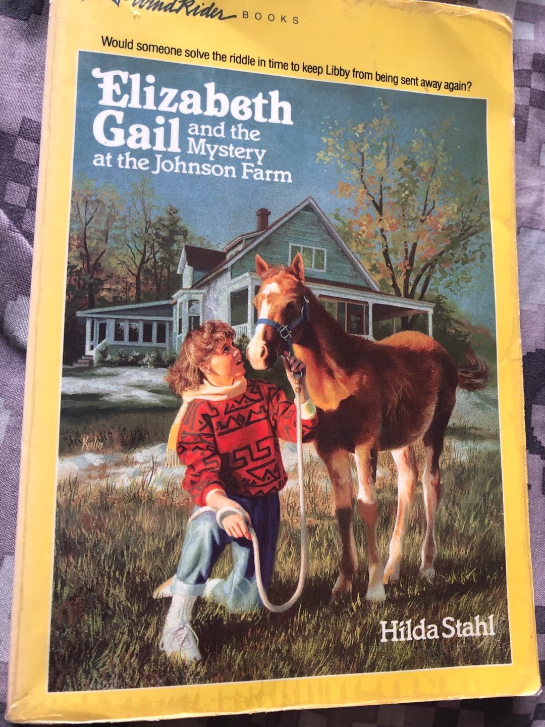 ⚽️ Elizabeth Gail and the Mystery at the Johnson Farm Book
