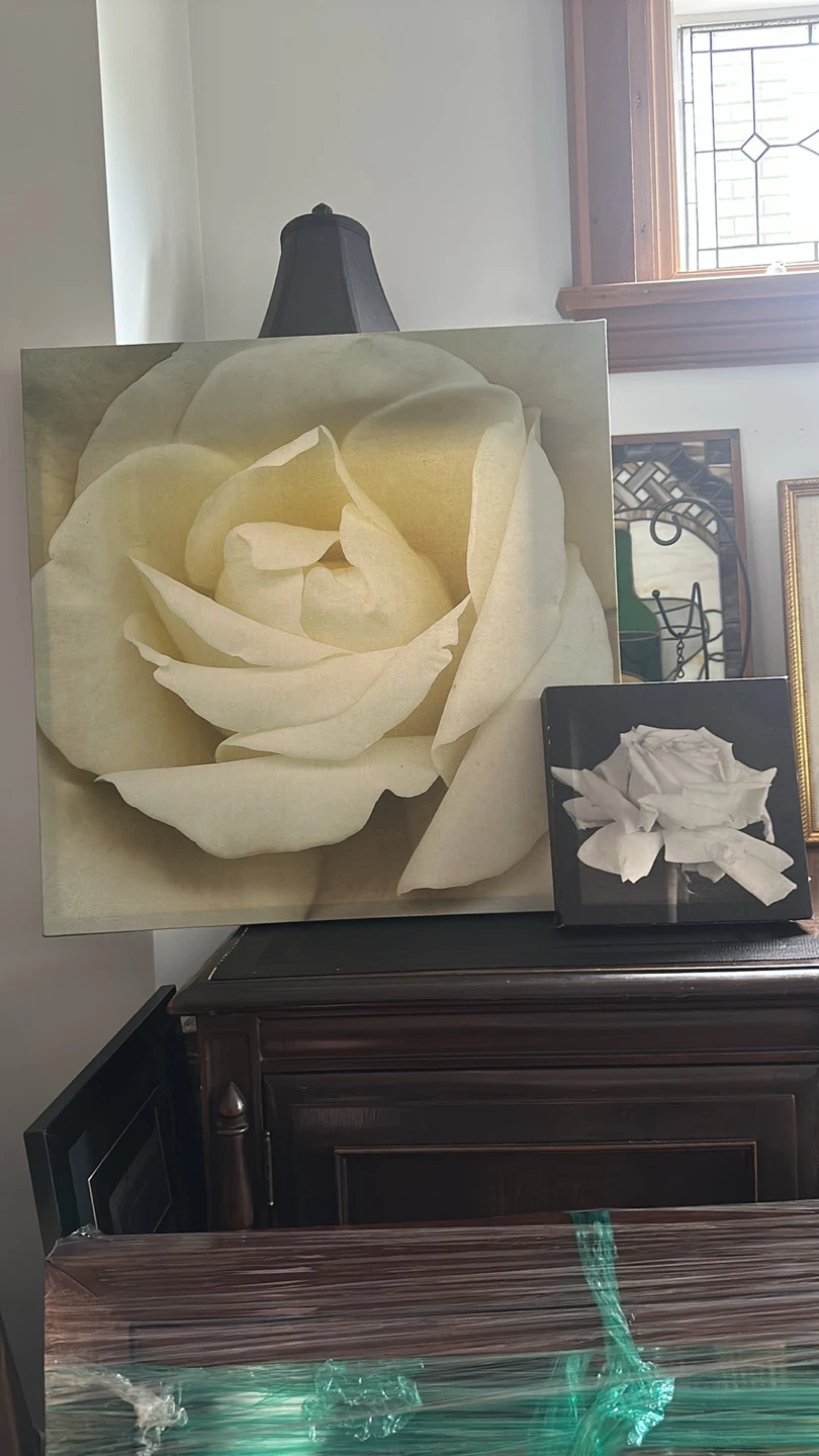 White Rose Canvas Art