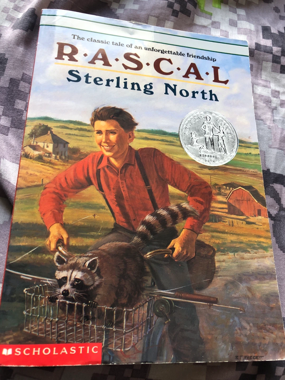 ⚽️ Rascal by Sterling North - Classic Children's Book