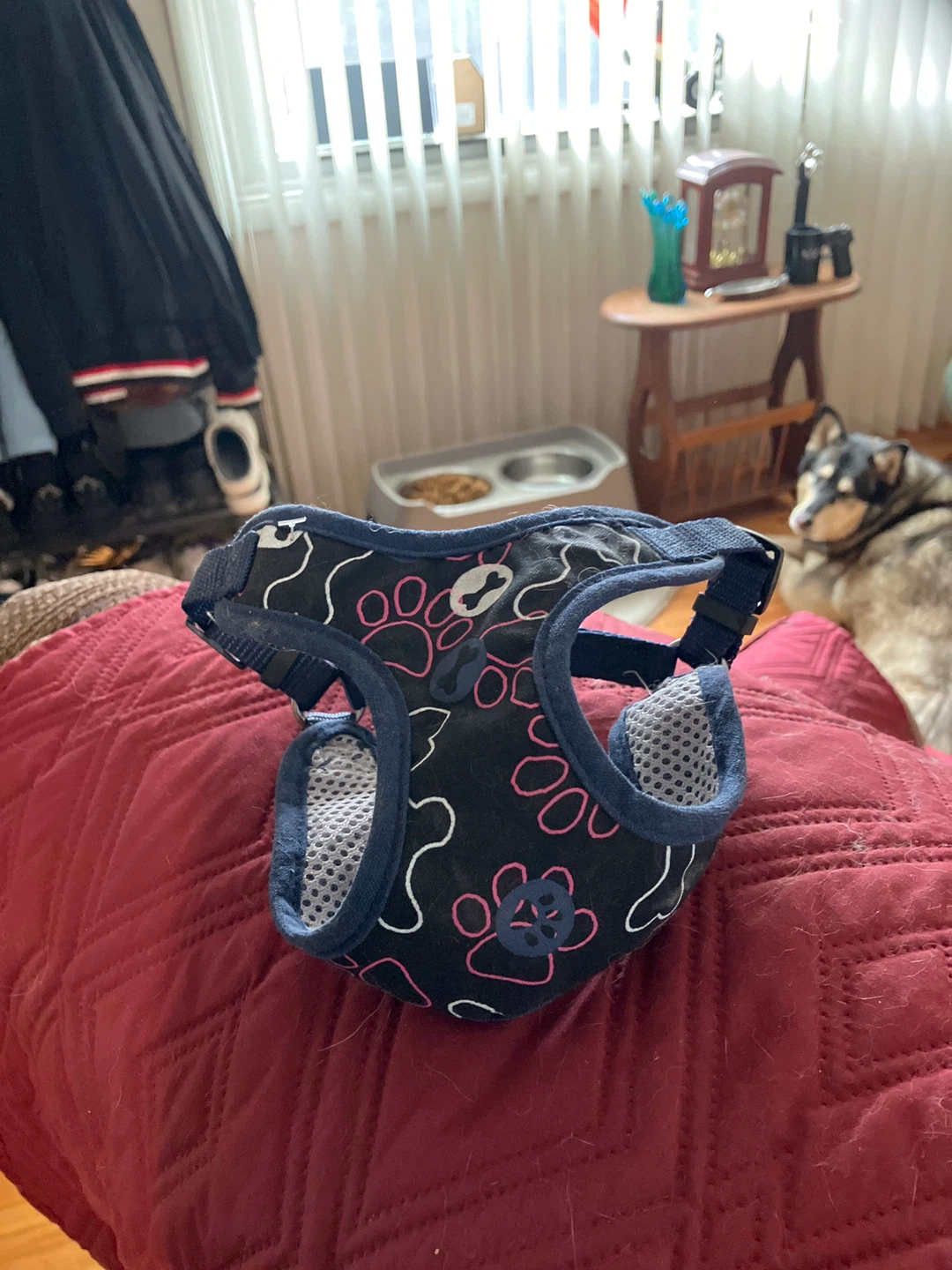 Dog Harness Print Design ⚽️