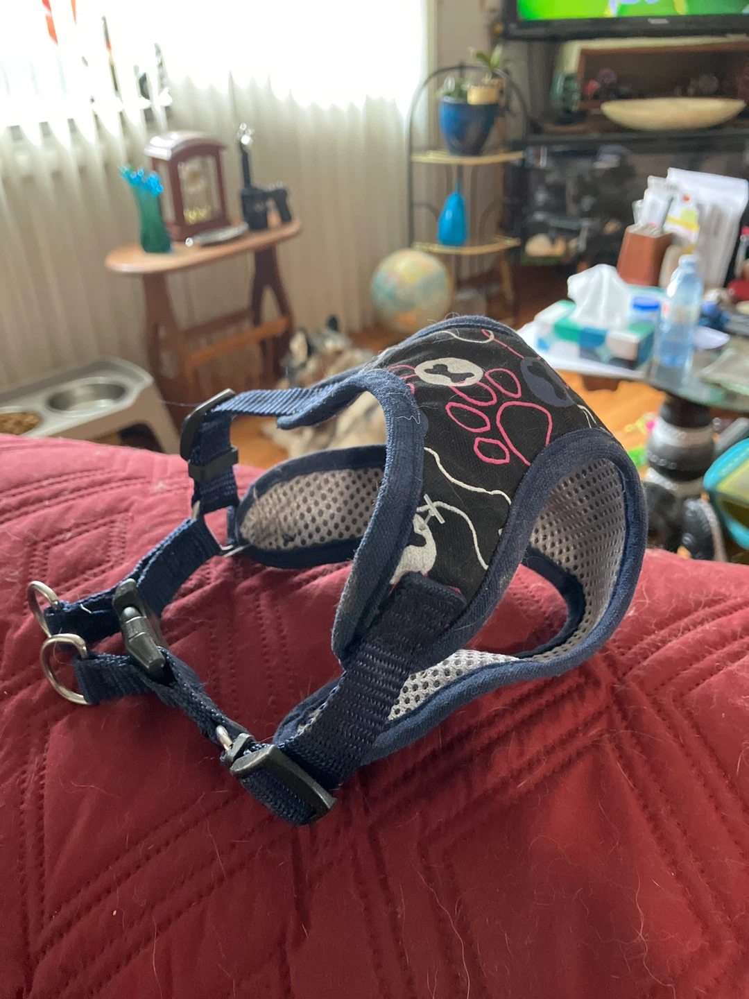 Dog Harness Print Design ⚽️ - photo 2