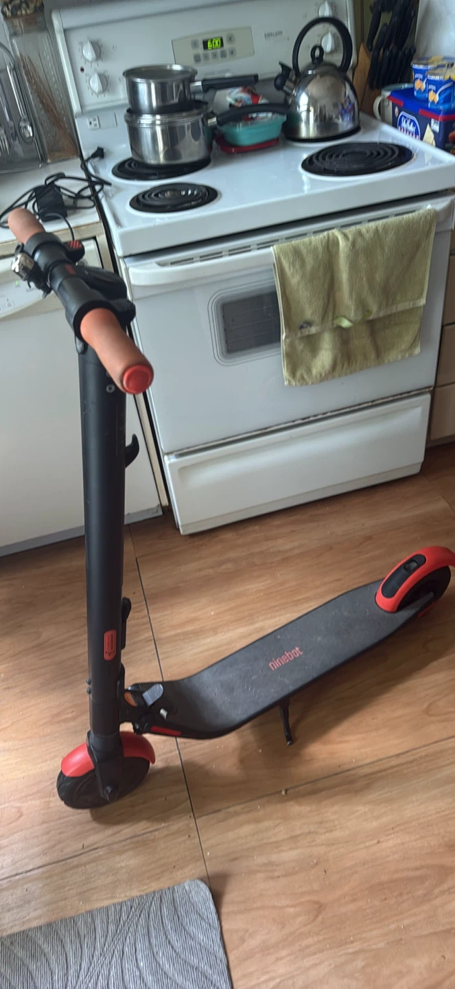 Ninebot Electric Scooter