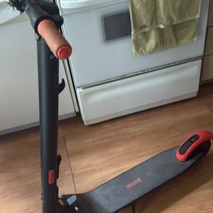 Ninebot Electric Scooter