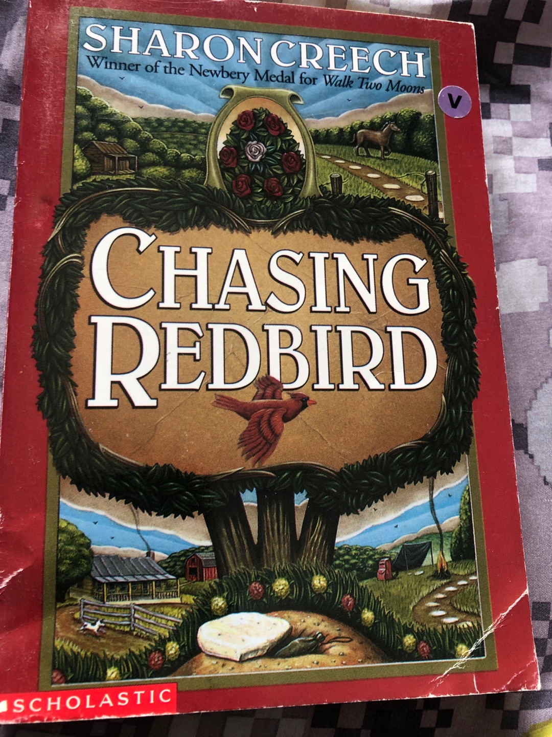 ⚽️ Chasing Redbird by Sharon Creech