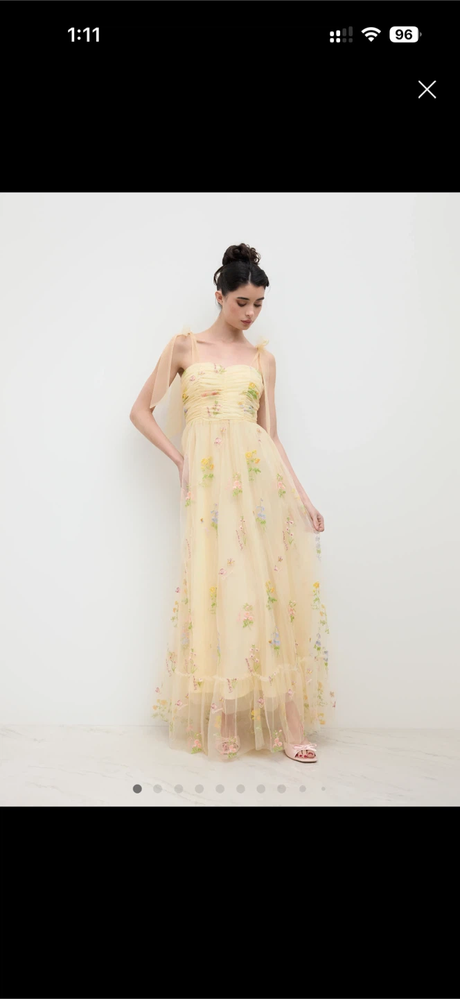 Sheer Floral Embroidered Maxi Dress