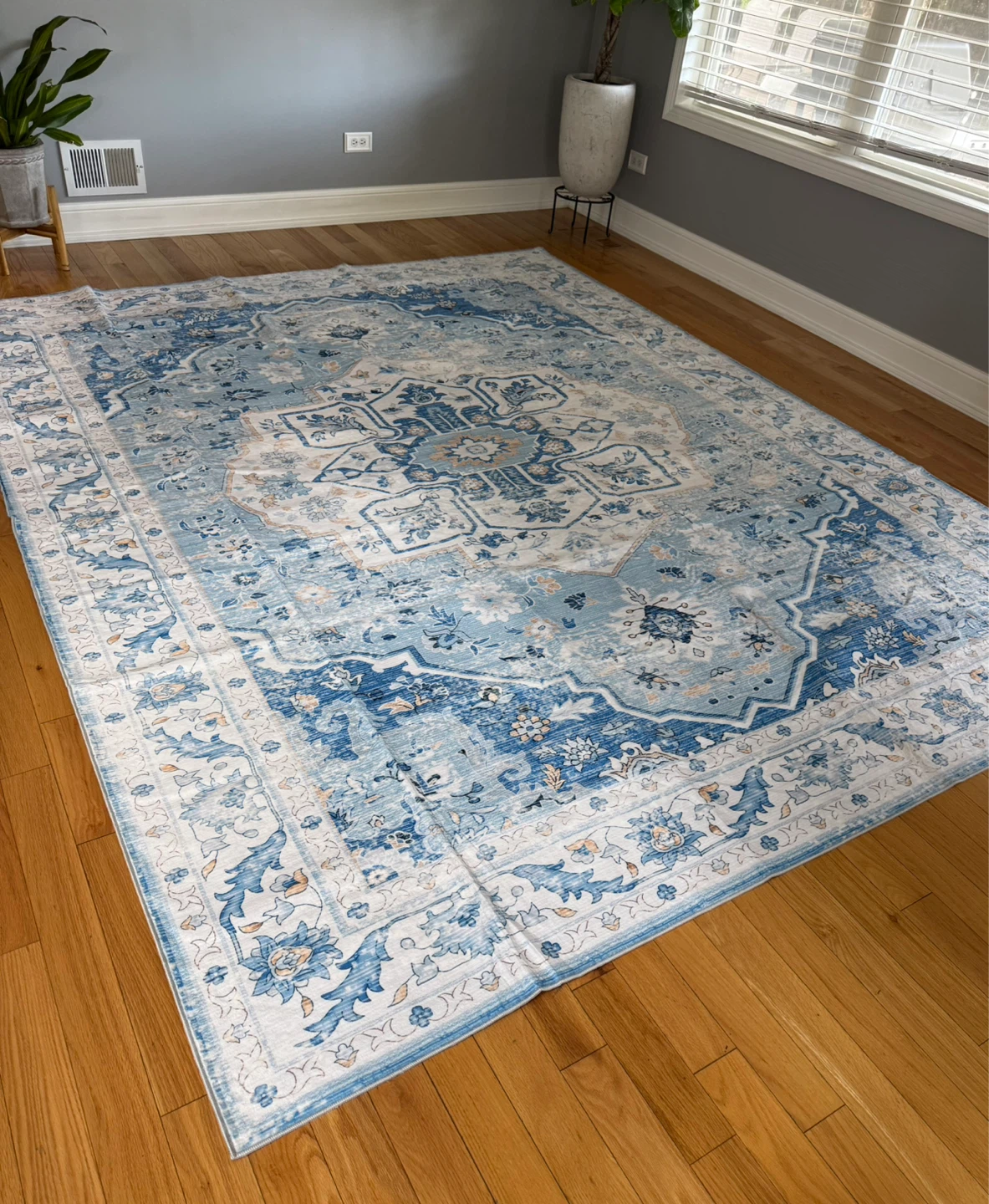 Safavieh Area Rug 8x10