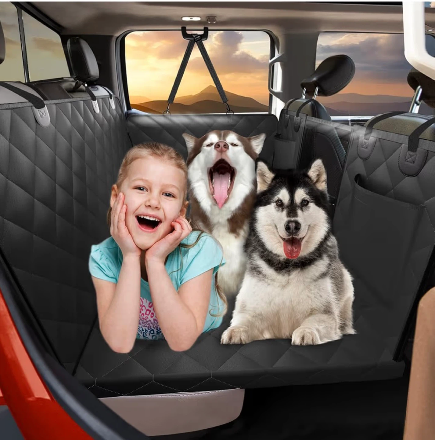 ROUWINNE Back Seat Extender for Dogs