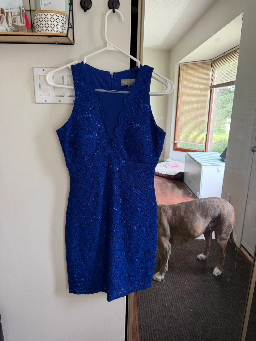 Laura Blue Sequin Lace Dress