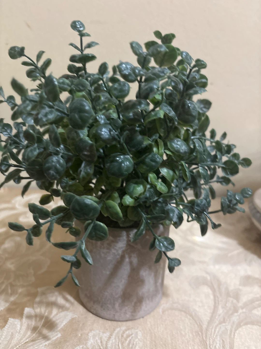 ⚽ Small Faux Eucalyptus Plant in Pot